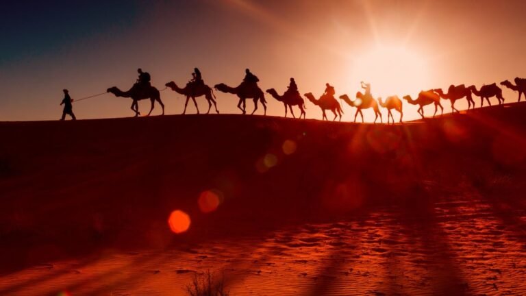 Who Really Runs Yemen and Why That Spells Doom for Nimisha