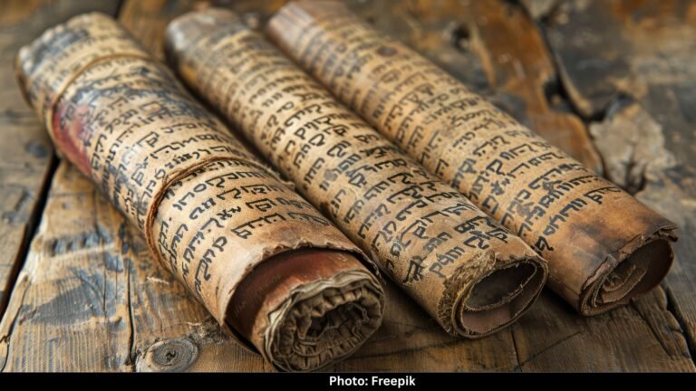 The Voynich Manuscript: A Book No One Can Read