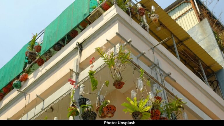The Secret Life of Balcony Plants: How They Listen to Our Daily Conversations
